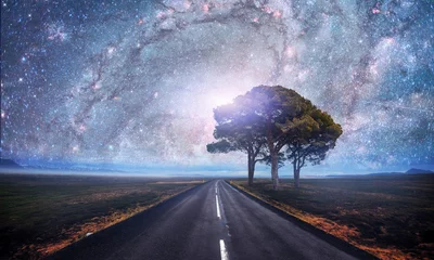 Zelfklevend Fotobehang Asphalt road and lonely tree under a starry night sky and the Milky Way. Courtesy of NASA © standret