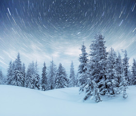 Fototapeta na wymiar starry sky in winter snowy night. fantastic milky way in the New Year's Eve. In anticipation of the holiday. Dramatic scene. Carpathian. Ukraine