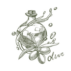 A branch of ripe olives is juicy poured with oil. Farmers market menu design. Organic food poster. Vintage hand drawn sketch vector illustration. Linear graphic.