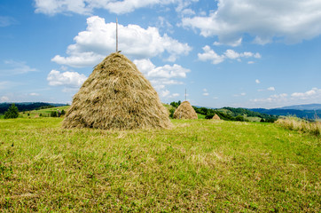 Haystacks on a background of green beautiful Carpathian mountains
