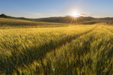 Obraz premium sunrise