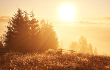 Autumn fog and the beautiful morning sun in a landscape