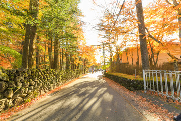  Karuizawa in Autumn ,Karuizawa is a mountain resort town and a shopping street  of Nagano Prefecture, Japan..