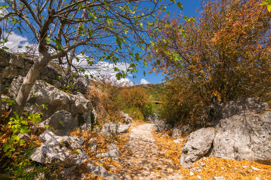 Panoramic view over Crnojevice River, Lake Skader National Park, Balkan Peninsula, Montenegro Europe