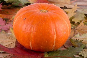 Pumpkin on a wooden table