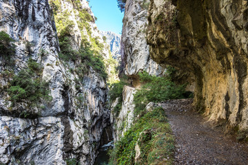 Spanien - Kantabrien - Picos de Europa - Garganta del Cares