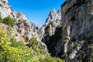 Spanien - Kantabrien - Picos de Europa - Garganta del Cares