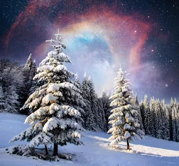 Poster magische winter besneeuwde boom. Winterlandschap. Het wintermeer is aan de voorkant bevroren © standret