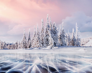 Mysterieuze winterlandschap majestueuze bergen in de winter. Magische winter besneeuwde boom. Foto wenskaart. Bokeh lichteffect, zacht filter.