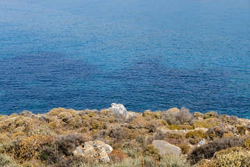 overgrown cliff and turquoise ocean
