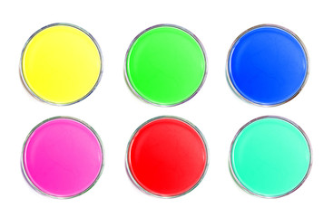 Petri dish with liquid