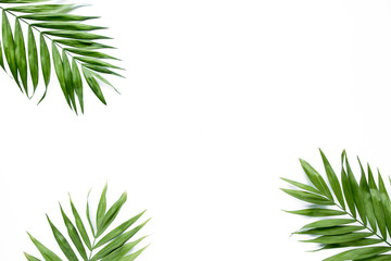 green palm leaf branches on white background. flat lay, top view