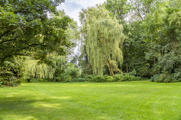 idyllic park scenery