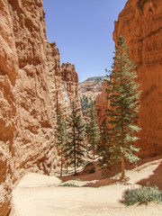 Bryce Canyon National Park