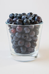 blueberries isolated 