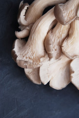 Mushrooms white banch on a Blue Background. Top View. Vertical image.