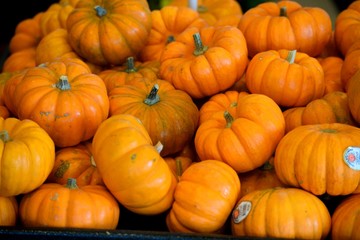 Pumpkins for sale at outdoor market