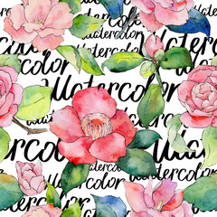 Wildflower camellia flower pattern in a watercolor style. Full name of the plant: camellia. Aquarelle wild flower for background, texture, wrapper pattern, frame or border.