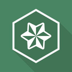 Polygon Button mit Schatten - Stern