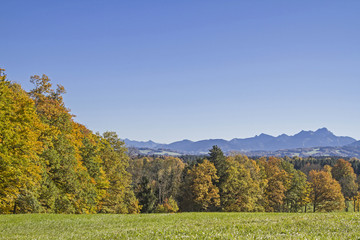 Naklejka premium Ausblick vom Taubenberg