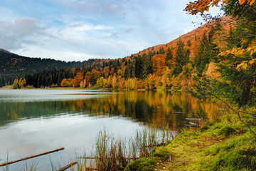 Fototapeta na wymiar Autumn forest reflected in the lake