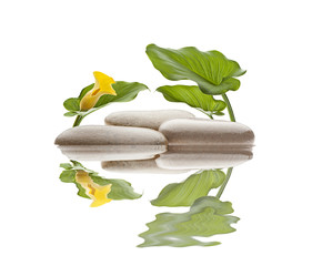 spa de flores sobre agua