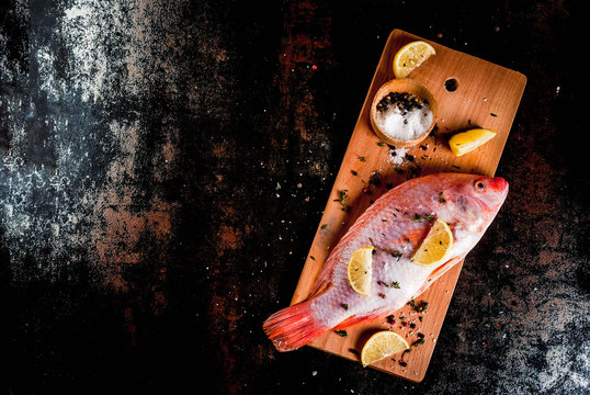 Fresh raw fish pink tilapia with spices for cooking - lemon, salt, pepper, herbs, on  black rusty metal table, copy space top view