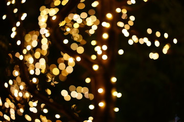 イルミネーション