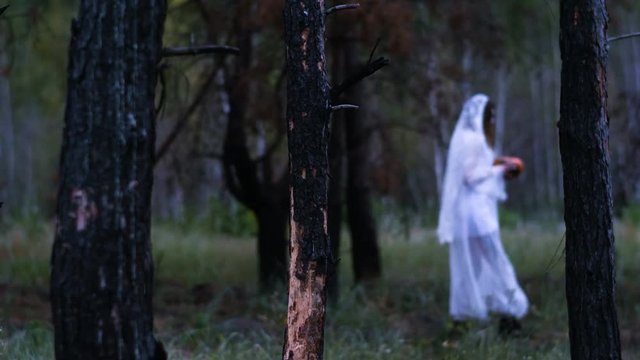 Halloween. The young woman in the white bride dress walking through the burnt pine forest holding in the arms a pumpkin with a burning wax candle. 4K