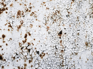 Texture of rusting metal covered with peeling white paint.