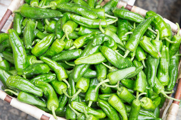 from the farm, Close up or macro fresh beautiful Green peppers are stacked background