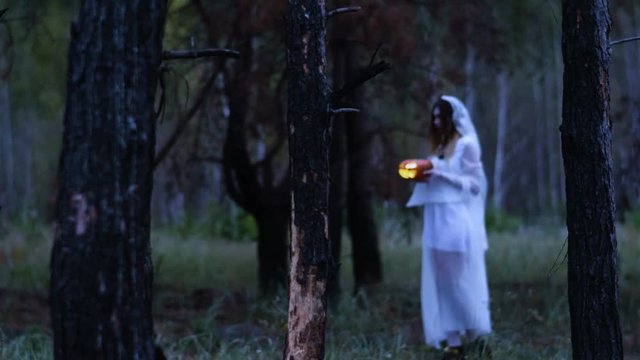 Halloween. The young woman in the white bride dress walking through the burnt pine forest holding in the arms a pumpkin with a burning wax candle. 4K