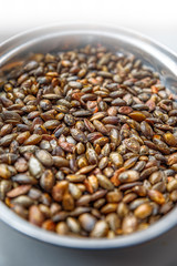 roasted pumpkin seeds