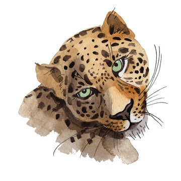 Exotic leopard wild animal in a watercolor style isolated. Full name of the animal: leopard. Aquarelle wild animal for background, texture, wrapper pattern or tattoo.