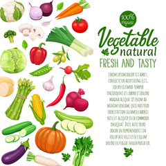 vector vegetables