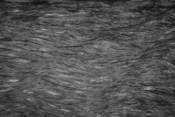 Black wooden texture background.