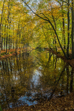 Herf Bilder Durchsuchen 115 Archivfotos, und Videos