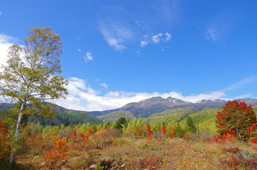 秋の乗鞍高原