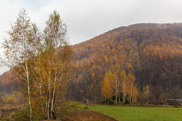 Fototapeta premium Autumn landscape in the western Ukrainian Carpathians
