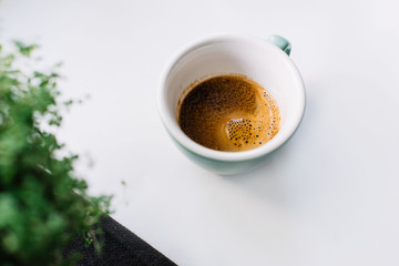 Delicious fresh cup of morning espresso coffee on a white background in a funny geometric play with a black napkin and a green plant