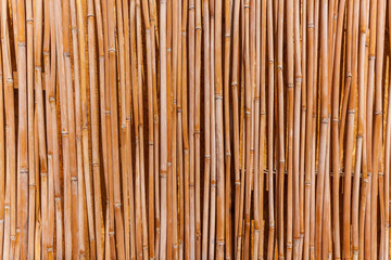 cane texture, The fence of the stalks of cane