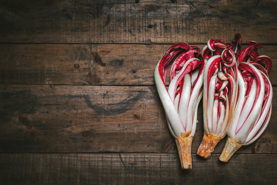 Treviso red radish