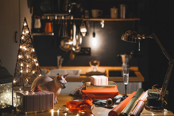Table in Kitchen with the Preparation of Christmas Gifts and the Cat Sphinx in the Evening with a lamp warm light.