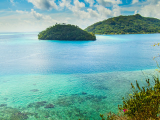 Fototapeta premium Point de vue et végétation tropicale