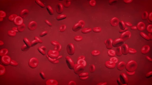 Computer generated video to simulate a red blood cells loop flowing
