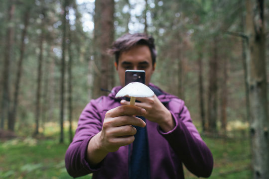Man making photo of a mushroom