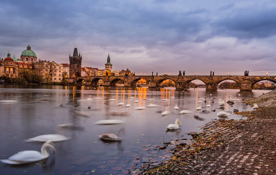 Prague Charles bridge during sunrise. Europe, Czech republic.