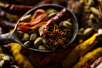 Indian Spices. Closeup.