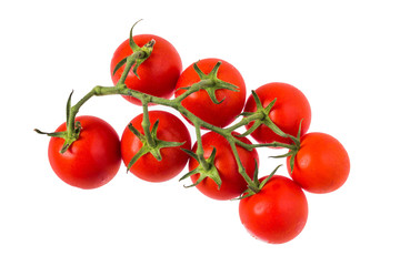 枝付きミニトマト　Mini tomatoes with branch