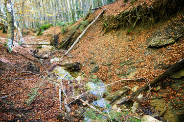 Autumn in the Pyrenees